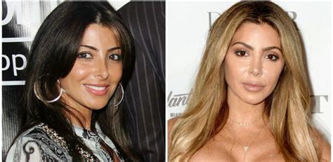 larsa pippen before plastic surgery|Larsa Pippen Nose Job Before & After Plastic Surgery。